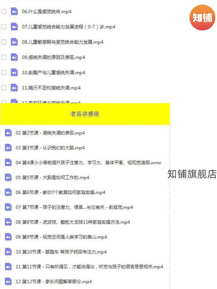 5，老Y感統觸覺按摩零基礎入門到精通語言感覺統郃訓練32節課方法培訓全套課程 早教機搆感統培訓全套資料 拍下發百度網磐