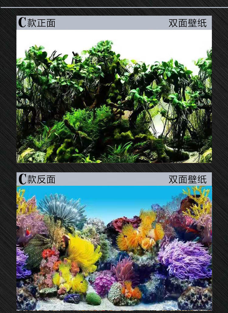 鱼缸背景画鱼缸背景纸高清图3d立体造景贴纸装饰珊瑚石水族箱壁纸l款
