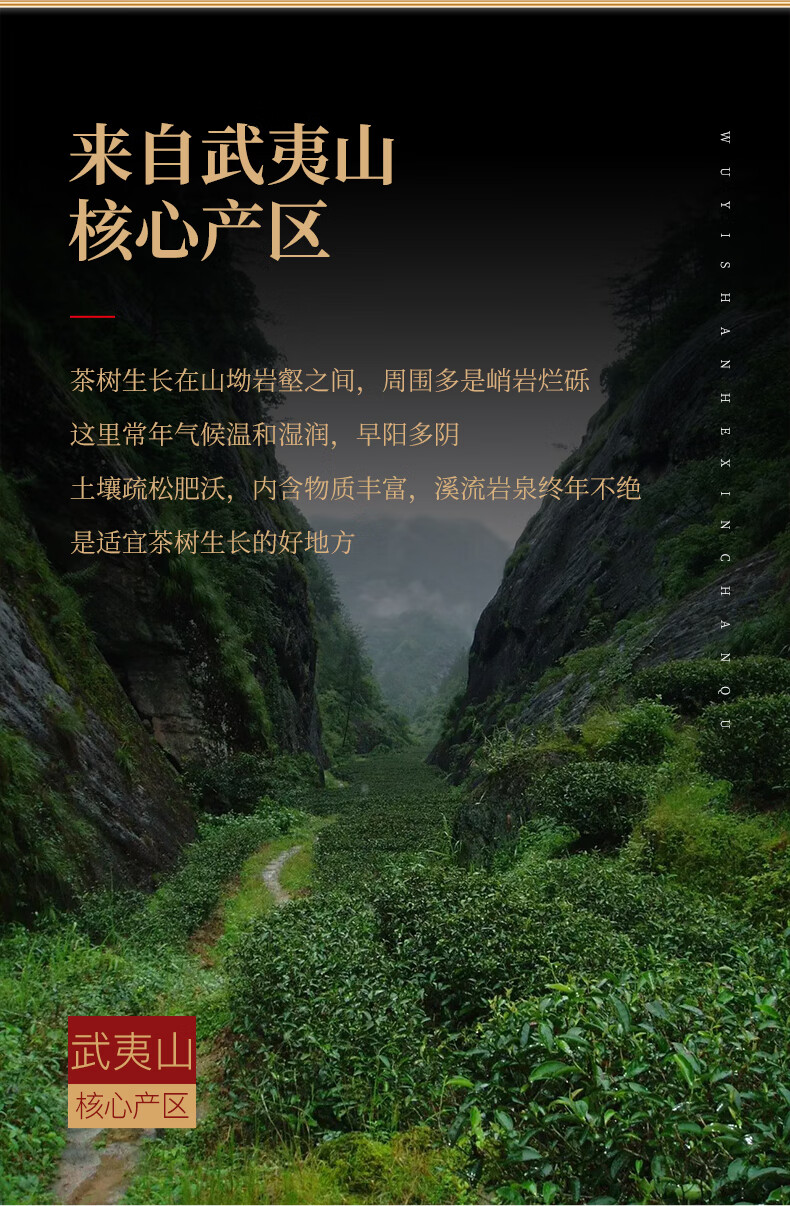 5折武夷山岩茶金獎正巖大紅袍茶葉鬼洞巖骨花香慧苑肉桂散裝禮盒裝