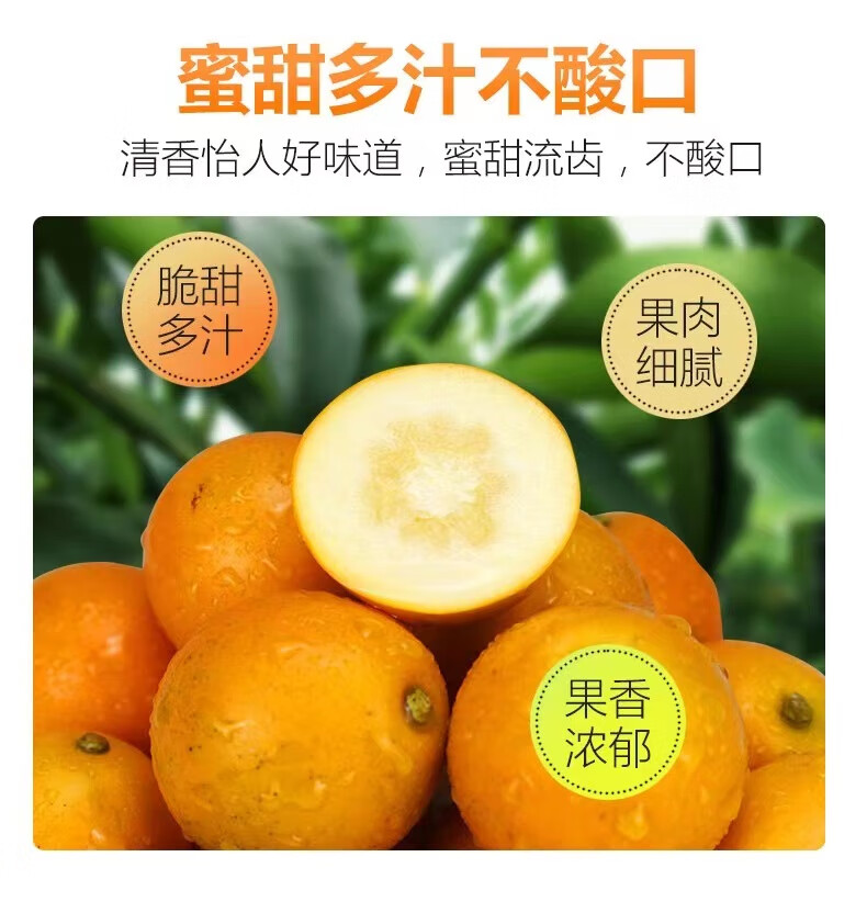 广西特产正宗融安脆蜜金柑特级大果王滑皮脆皮金桔香妃柚蜜糖金橘酷果
