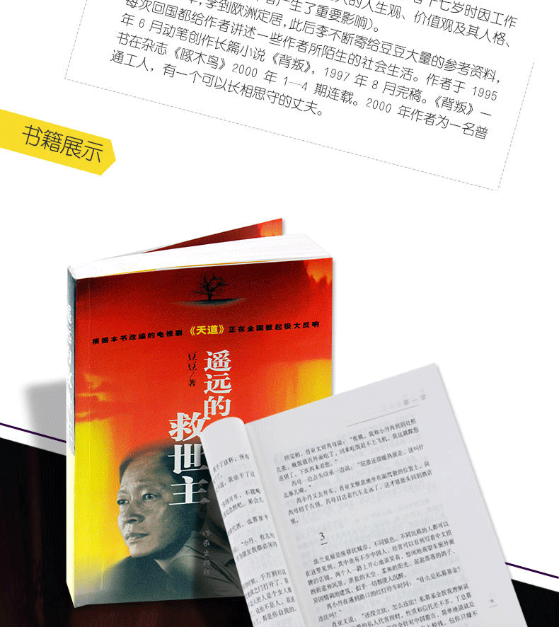 遥远的救世主豆豆全本未删减版热播电视剧天道原著中国现当代经典文学