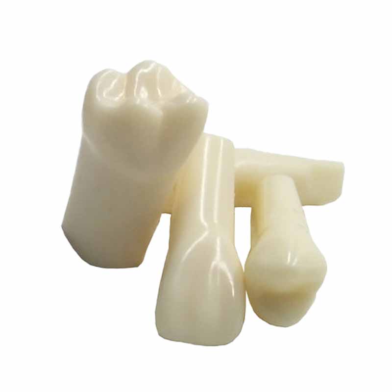 【精选推荐】备牙模型开髓牙仿真种植牙科牙粒口腔根管离体牙树脂牙