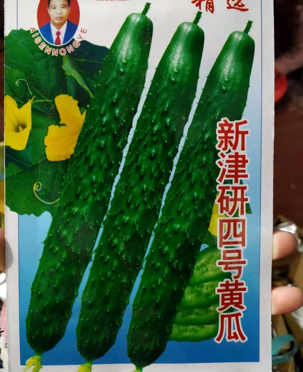 水果黄瓜种籽荷兰小各种蔬菜种子孑旱田园早春夏四季阳台 3包津优一号