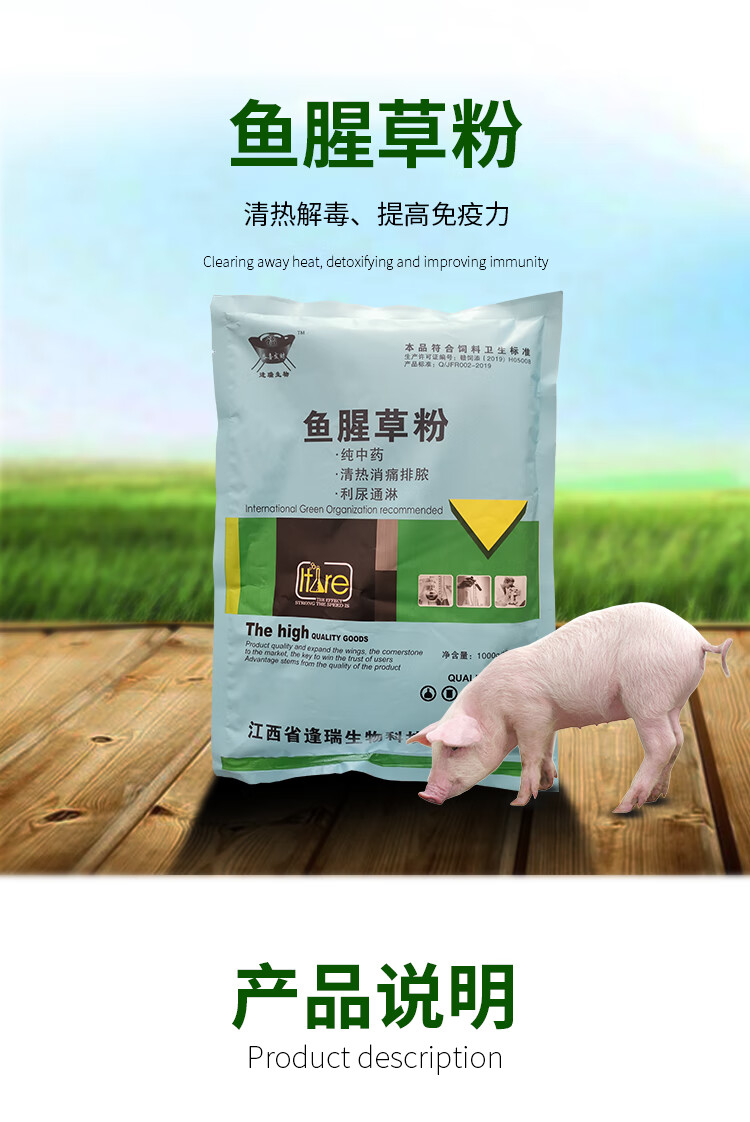 兽用鱼腥草粉鱼腥草末鸡鸭母猪产前产后清热解毒抗病毒 鑫嘉禾-鱼腥草