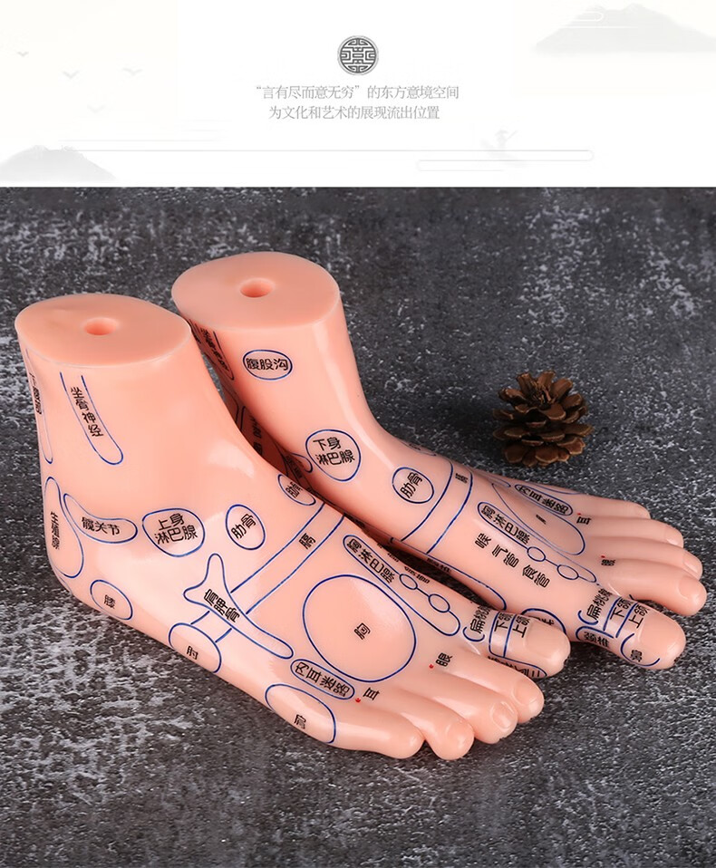 京健康足部按摩模型足底反射区穴位工具器材脚丫足疗养