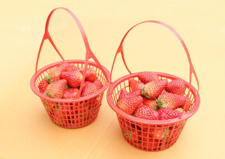 110斤草莓篮圆形塑料手提水果篮杨梅篮枇杷草莓采摘篮子蔬菜筐鸡蛋