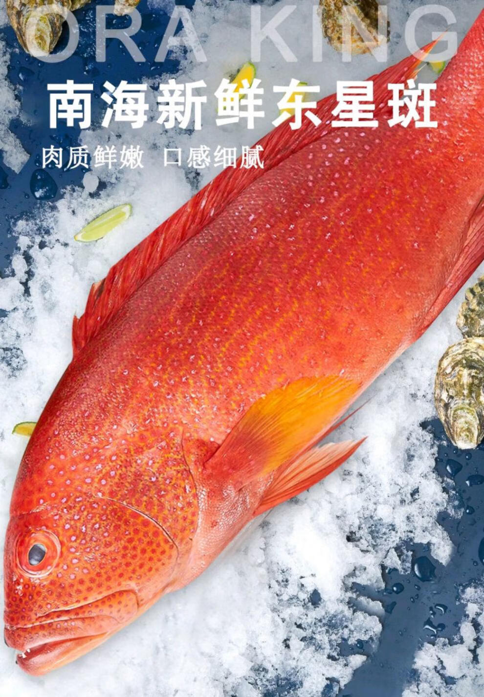 石斑鱼龙胆海鱼没小刺肉嫩辅食整条 350g-400g一条东星斑【图片 价格