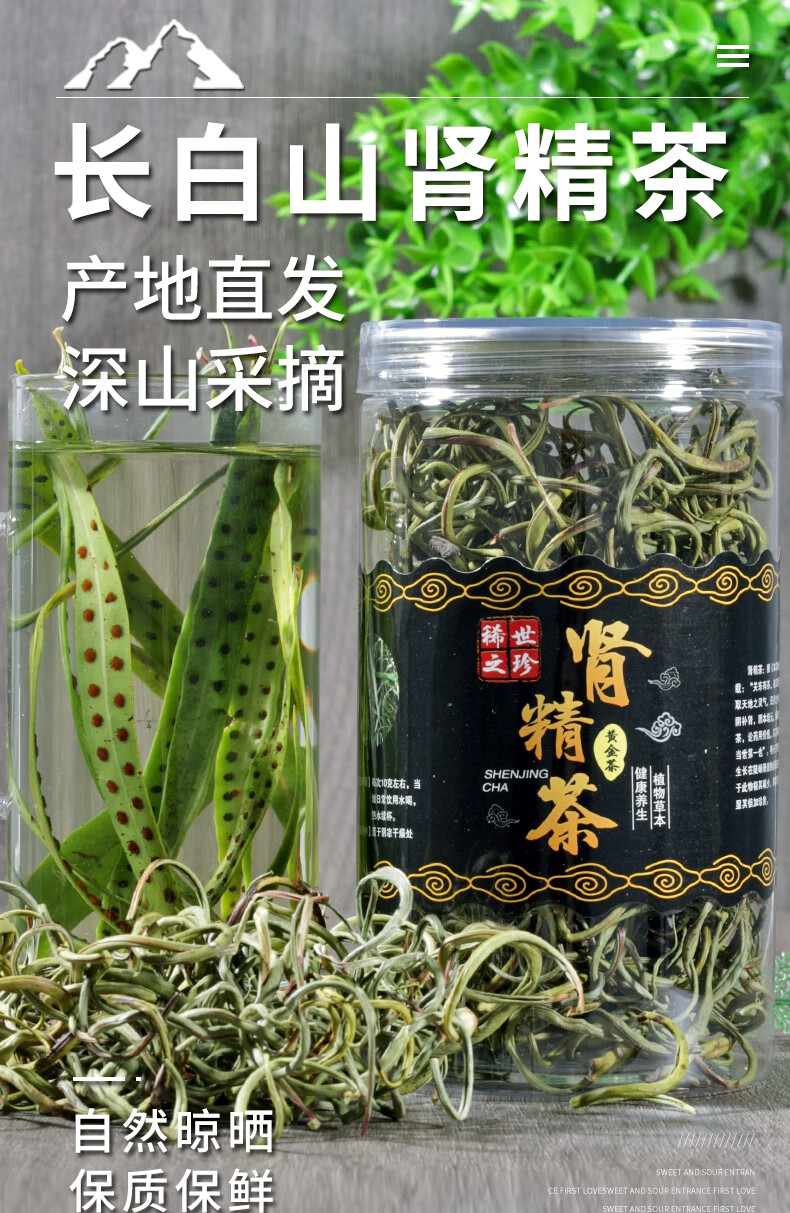 輝導 腎精茶長白山腎精草野生化石草 石葦茶 東北石韋草男性50g特產