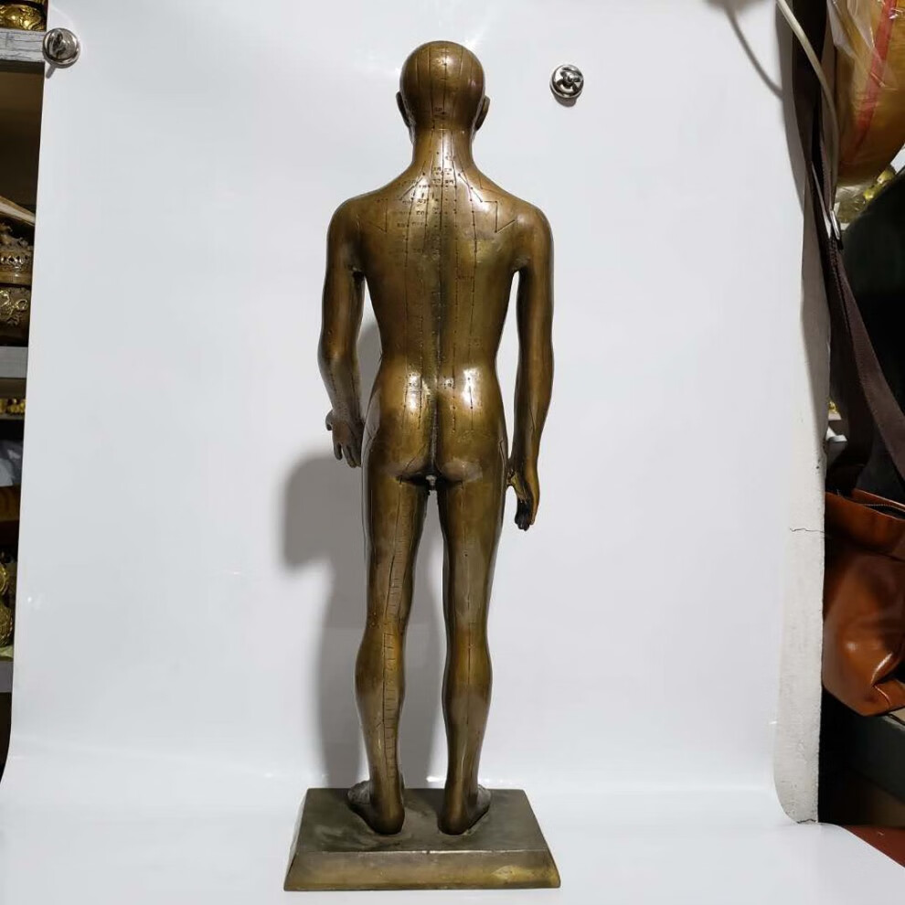 纯铜穴位人针灸人体男女模型铜人艾灸经络图中医药王医馆展示摆件