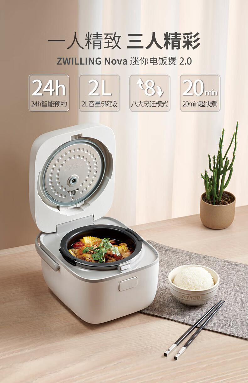 电饭煲迷你电饭锅家用煮饭锅2升24h预约隐藏式面板 白色 德国制造