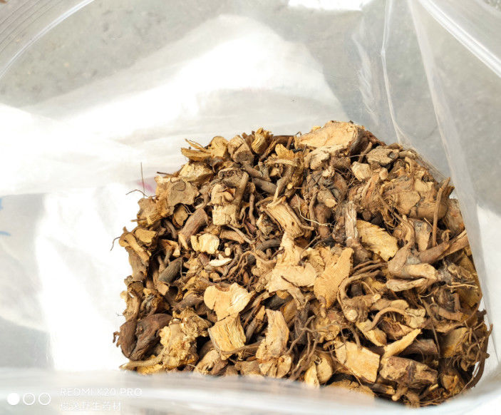 【官方旗舰】【官方旗舰】材粗叶悬钩子根 八月泡根 发货为根部切好的