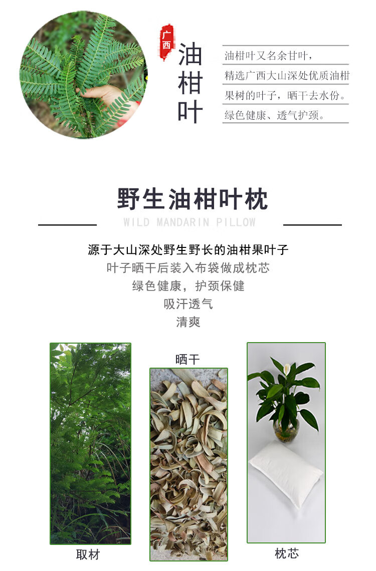 油甘叶枕正宗广西野生油柑叶枕芯荞麦夏凉枕头牛甘果油甘叶子余甘子