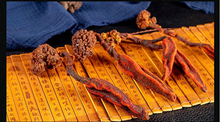 优斯达康回春草干货续阳草顶天柱锁阳不老草硬劲草云南