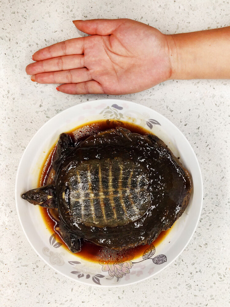 多特产 潢川直播邱县长 光山同款 即食熟信阳 外塘老鳖甲鱼下酒菜