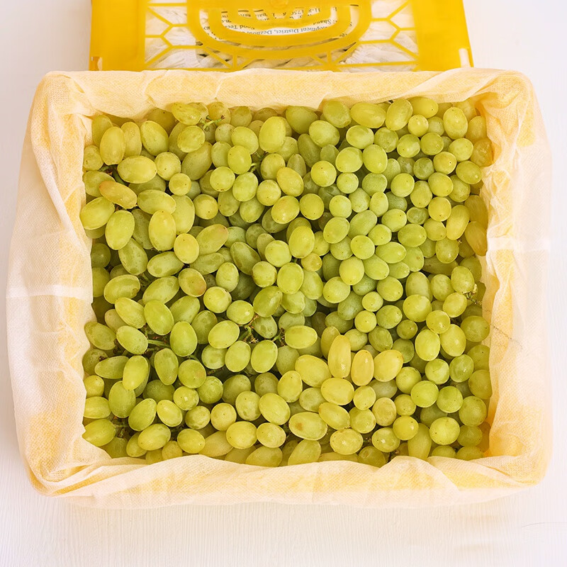 媚调 新疆珍珠无籽青提斤装当季新鲜无核白提子时令孕妇水果 斤 水果