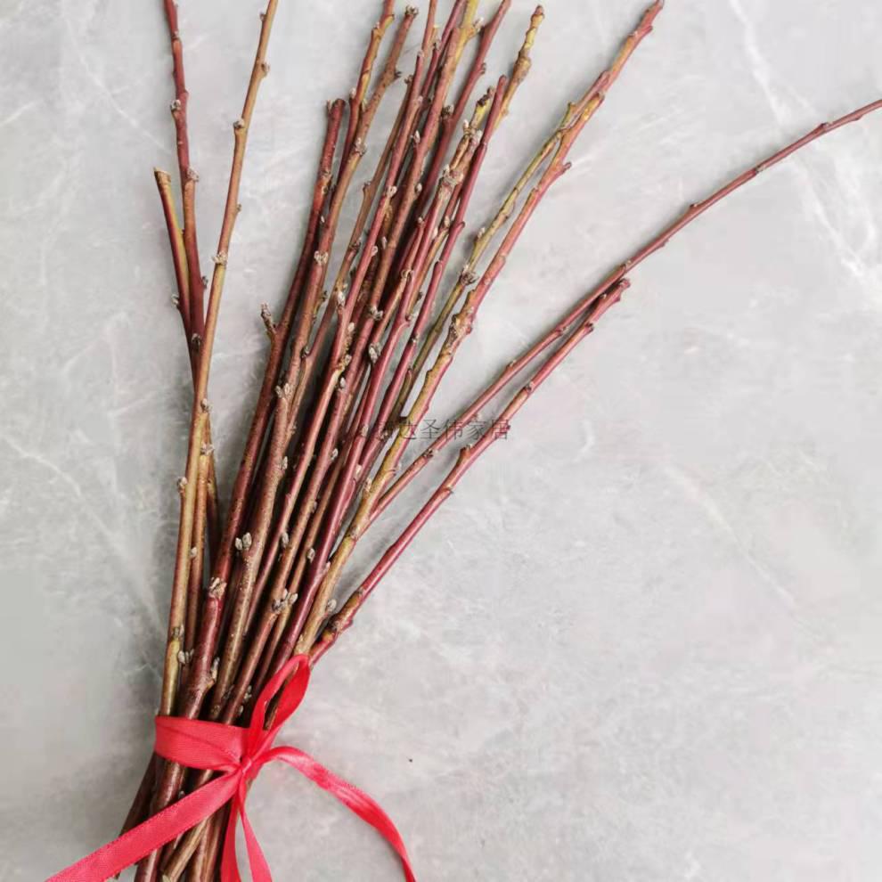 【京选好物】桃木枝天然 野生东南桃枝老桃木桃树条