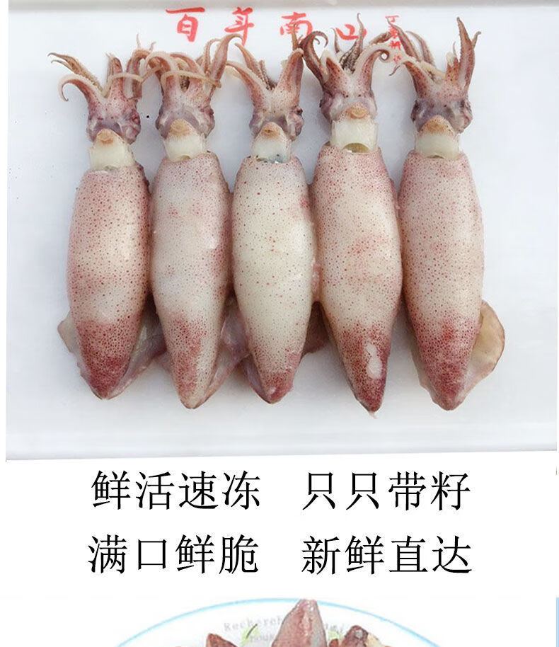 海兔满籽大小墨鱼仔海鲜水产鲜活冷冻笔管鱼全籽乌贼八爪鱼海兔子野生