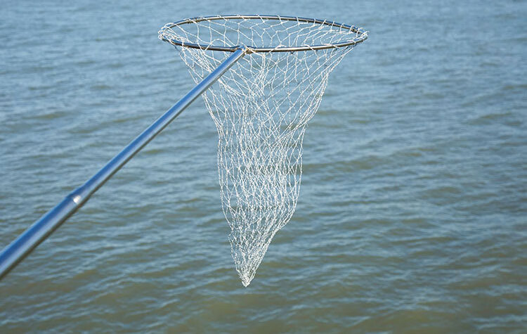 鱼抄网3米4米抄网杆渔网捕鱼抄网兜伸缩杆不锈钢抄网竿钓鱼捞鱼网50粗