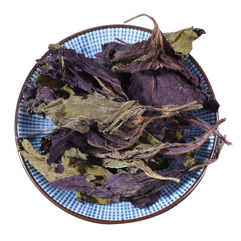 紫苏叶新鲜天然苏子叶茶腥紫苏紫苏叶500克