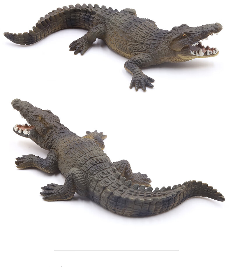 实心仿真鳄鱼模型尼罗鳄扬子鳄野猪鳄短吻鳄动物玩具帝鳄动物园非洲