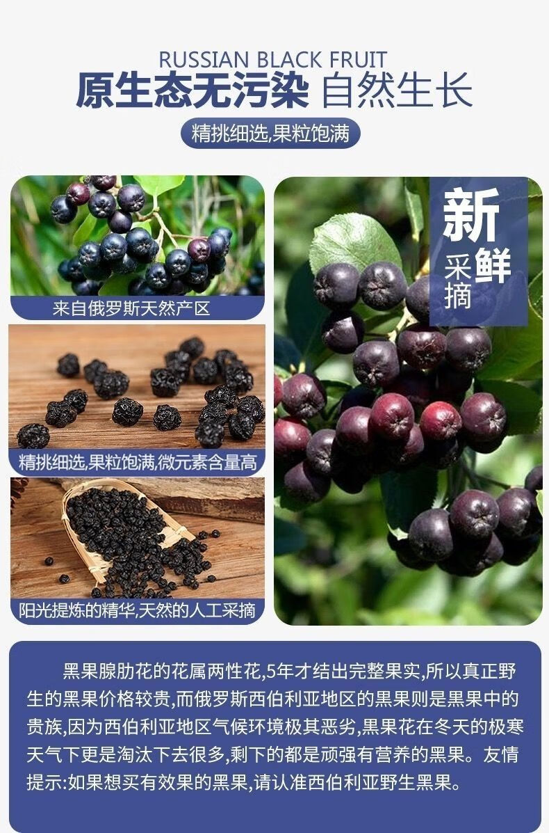 伟博俄罗斯野生黑果糖尿病降控糖神奇黑果天然胰岛素阿穆尔天鹅绒