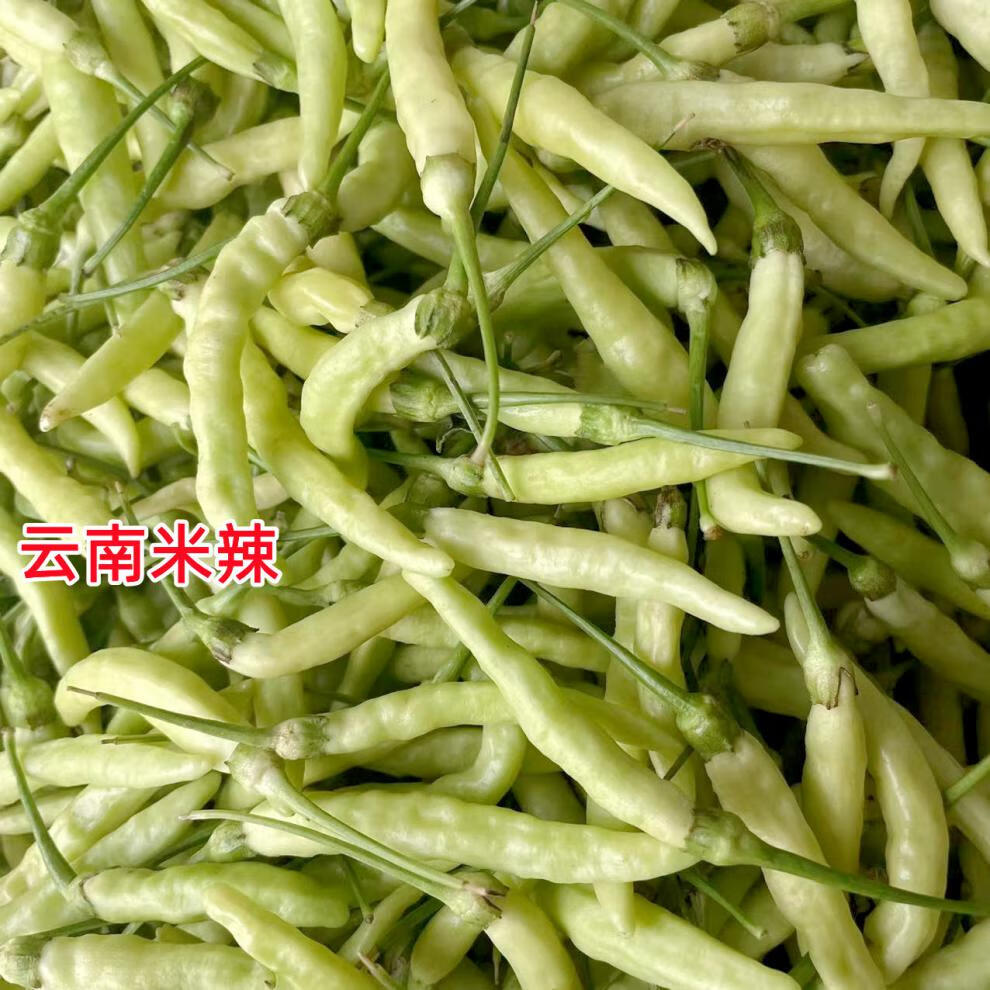 香馜云南新鲜野山椒小米辣泡椒特辣朝天椒临沧孟定农家种植现摘小米椒