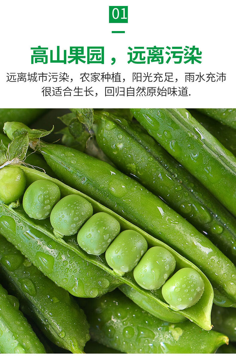 当季嫩豌豆新鲜现摘豌豆荚带壳水果豌豆角颗粒饱满一整箱910斤精选