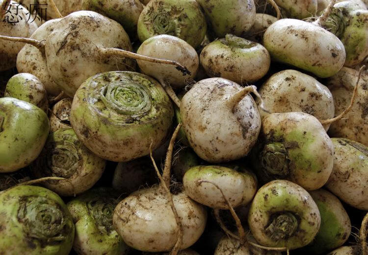 晨臻恰玛古新鲜上市新疆柯坪县恰玛古芜菁蔓菁食品蔬菜5斤装恰玛古