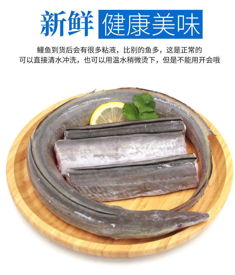 鲜活海鳗鱼冷冻2条3斤海鲜大鳗鱼可切断深海鳗鱼火锅食材领卷下单