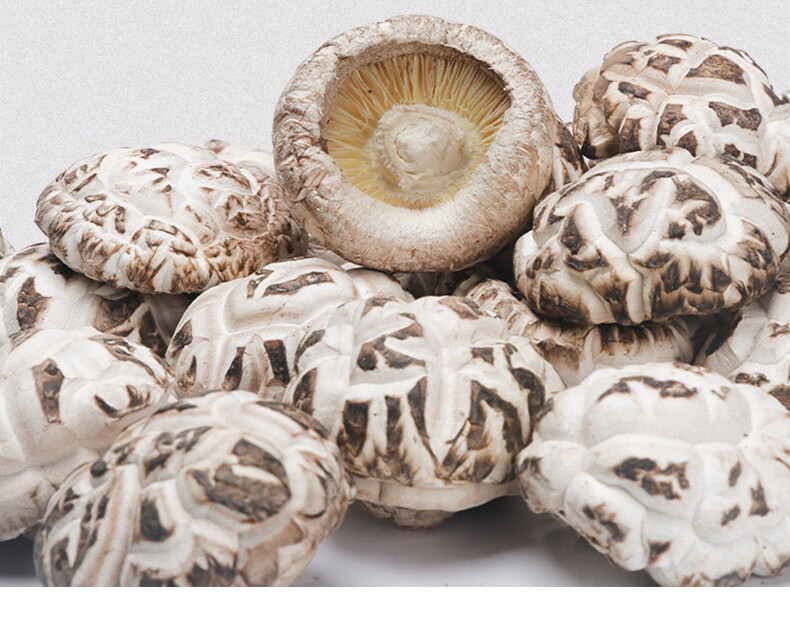 五折房县天白花菇冬菇香菇干货礼盒500g盒湖北神农架土特产