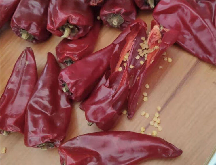 北京红益都板椒大铁皮椒红不辣椒干批发新疆红油上色专用055斤红不辣