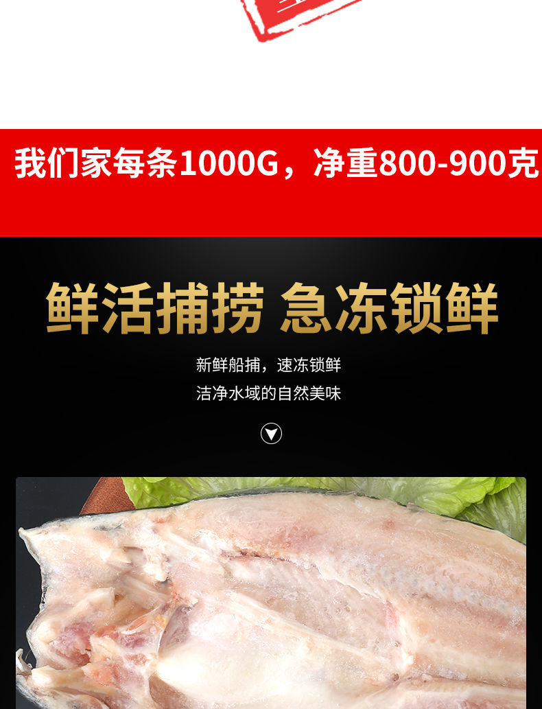 水产巴沙鱼整条湄公鱼去内脏开背龙利鱼烤鱼专用红烧烧烤鲜冻批发1条