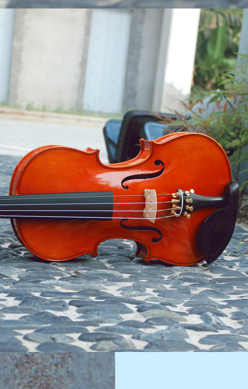 成人专业演奏级小提琴爱琴海纯手工小提琴european初学考级进口欧料