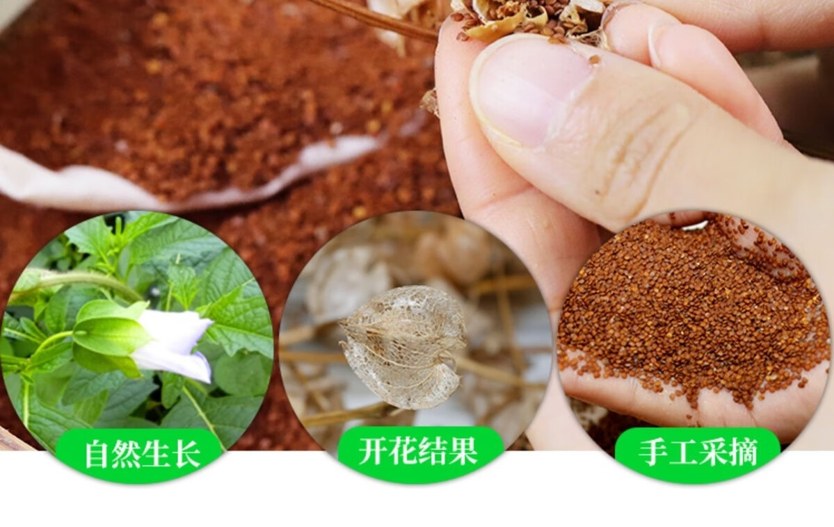 冰粉籽套装冰粉籽配料商用成都手工冰粉配料凉粉籽石花籽网红气泡冰粉