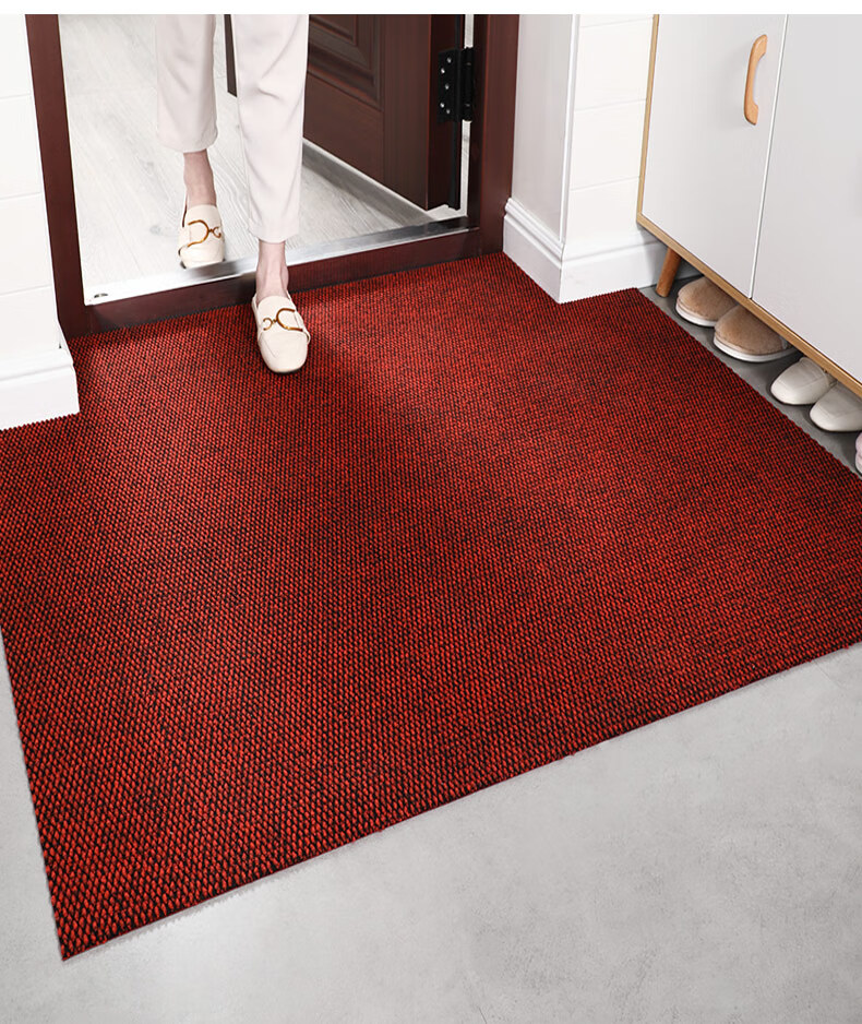 lnnzqz品牌入户门进门地垫玄关门口垫子防滑家用脚垫门垫大门口可裁剪