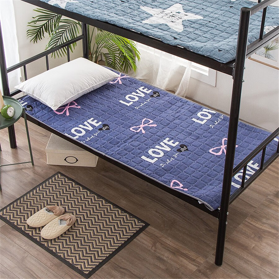 大学生宿舍防潮床垫出租屋榻榻米中大学生宿舍床垫透气防潮垫床上用床