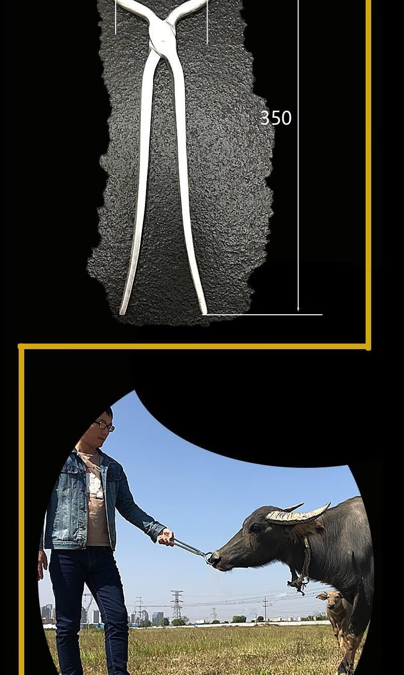 牛鼻钳子穿孔钳打孔钳抓牛鼻子牵引扣畜牧养殖夹自动牛鼻环牛鼻圈 超