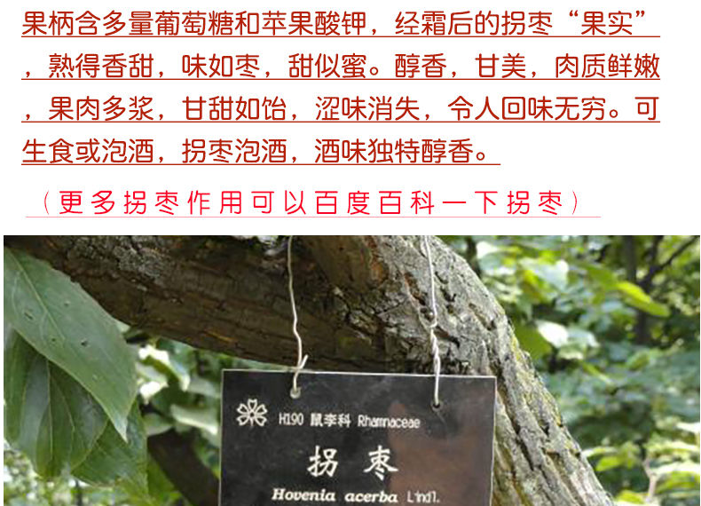 贵州拐枣酒纯粮食米酒泡制40度一年陈酿2500ml桶5斤5斤装