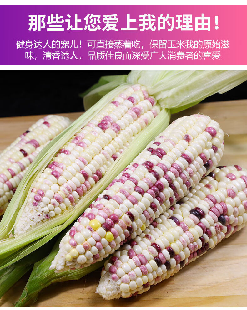 【既甜又糯】花糯玉米新鲜现摘玉米棒甜玉米早餐苞米甜糯玉米5斤 花糯