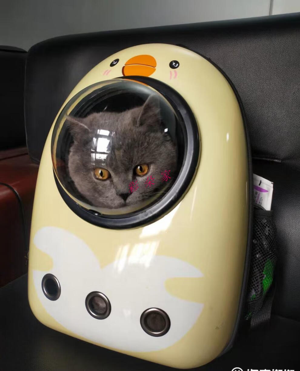 彩朵家 猫包太空舱透明宠物包外出便携双肩猫包宠物用品猫咪小型狗