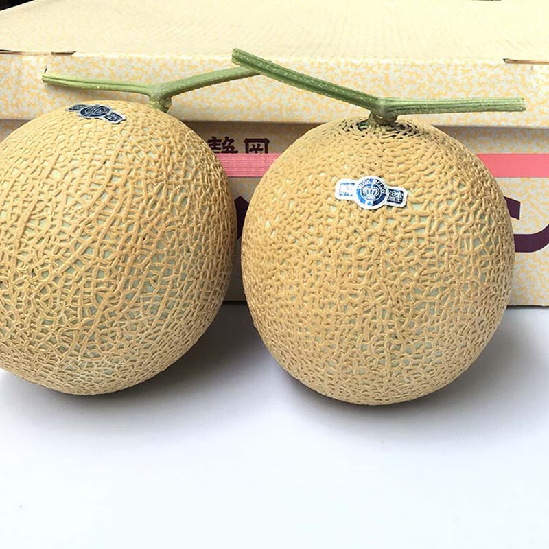 【jd物流】日本品种静冈网纹蜜瓜新鲜哈蜜瓜国内种植新品可口蜜 4个
