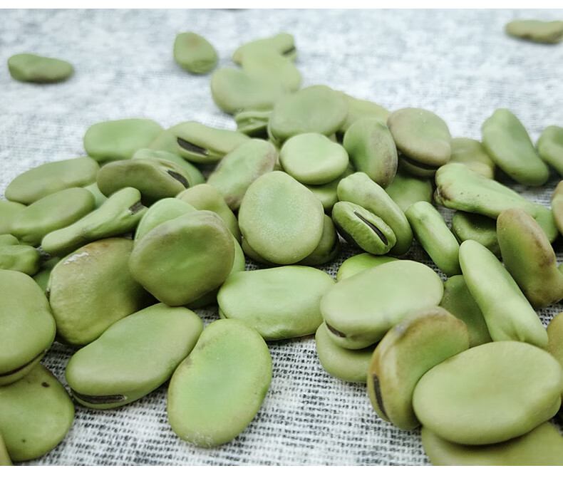大粒干蚕豆新货2021年农家绿蚕豆生的新干货散装5斤装生蚕豆