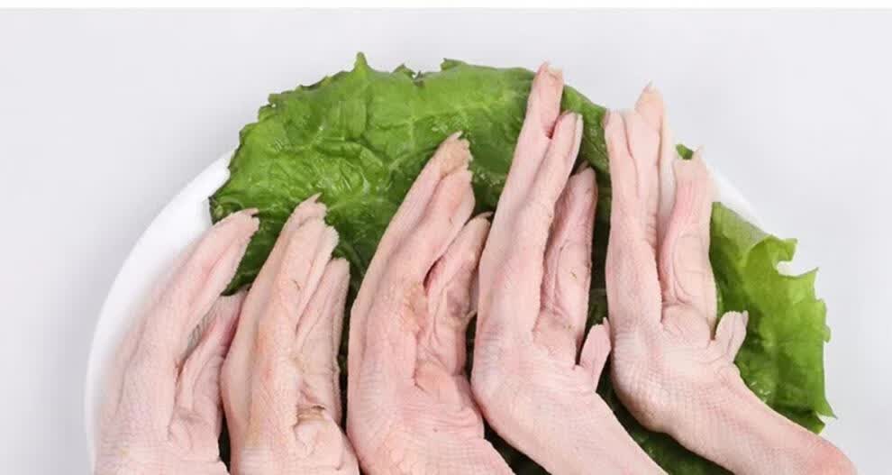 顺丰特大号大鹅掌农家散养大鹅爪大白鹅鹅手鹅脚生鹅脚精品大鹅掌5斤