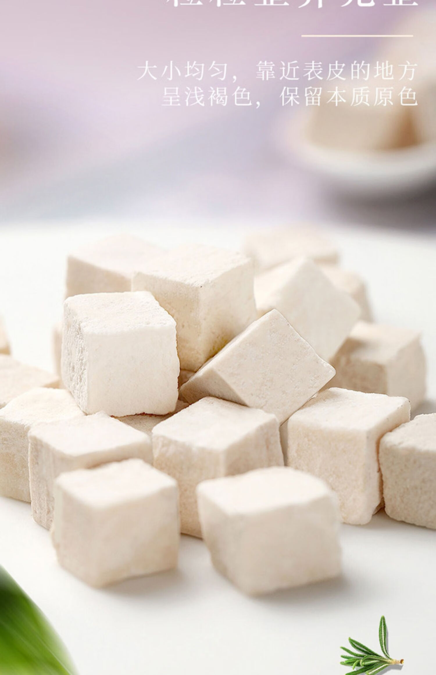 北京同仁堂茯苓块茶克中药材新鲜土芡实酸枣仁百合粉1罐茯苓500g