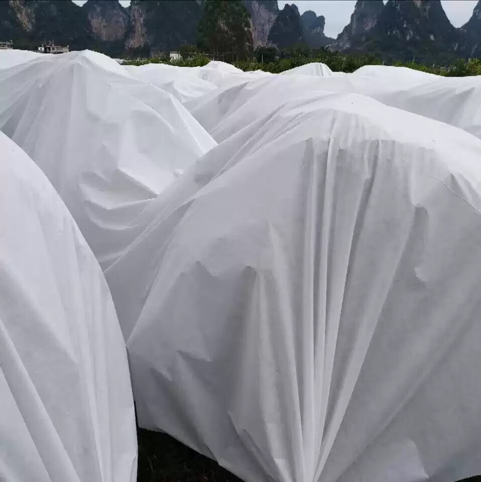 sk果树果园柑橘防寒布保温膜防水透气防冻农用无纺布农膜棚布 白色2.