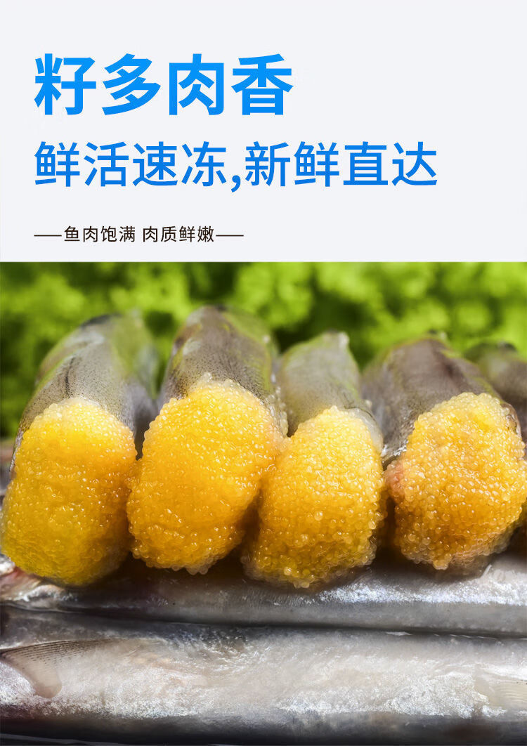 满籽多春鱼大号冷冻新鲜多籽鱼烧烤香煎鱼籽海鲜 4盒加量装【只只满籽