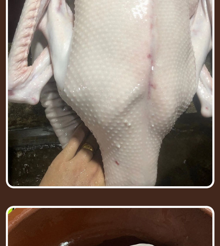 新鲜潮汕狮头鹅整只顺丰空运农家大鹅种狮头鹅广东省内顺丰空运净重