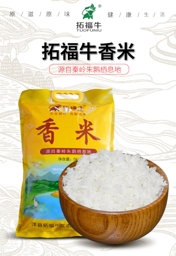 汉中香米 农家新米生态长粒香米炒饭好吃10斤装 5kg【图片 价格 品牌
