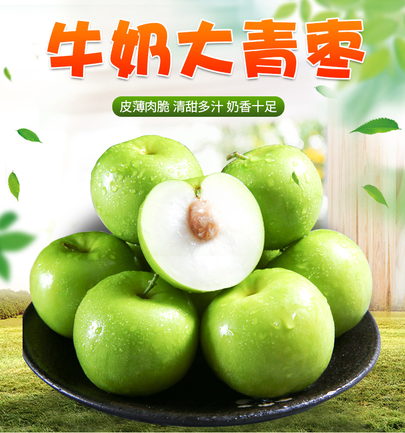 福建牛奶大青枣5斤装新鲜当季水果大果脆甜蜜枣子贵妃枣脆枣贵妃枣1斤