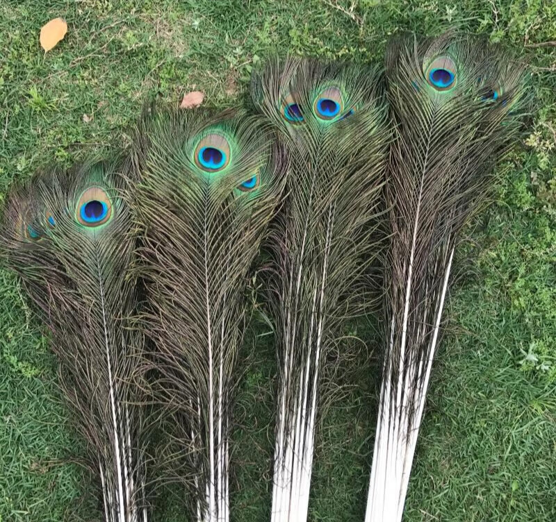 客厅摆件花瓶插花装饰品diy配件孔雀毛 孔雀翎75-85cm左右弯各3支